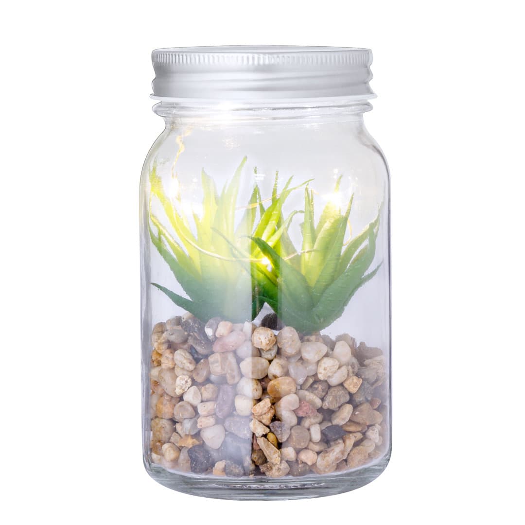Planta Decorativa Kyala 3