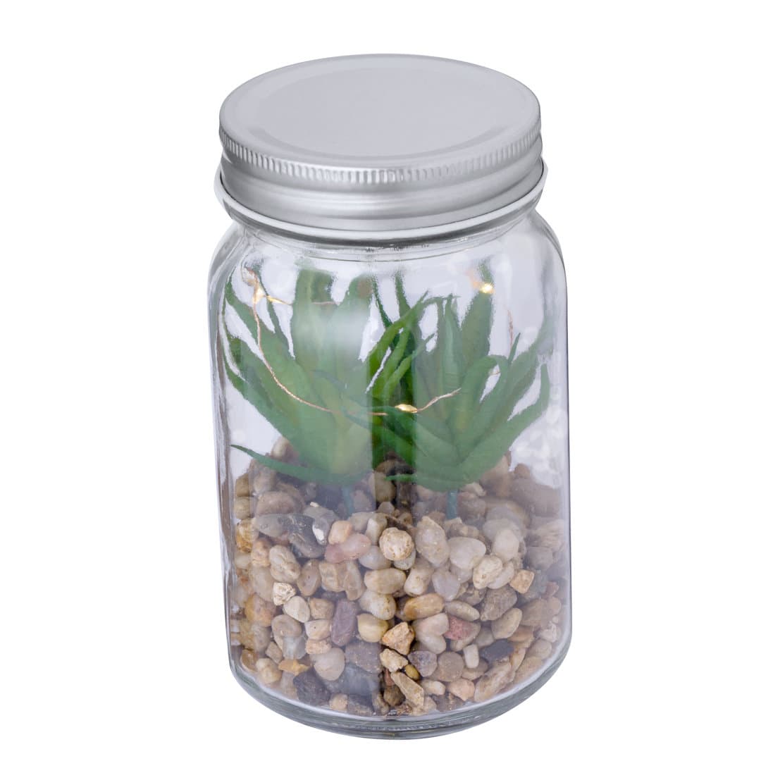 Planta Decorativa Kyala 4