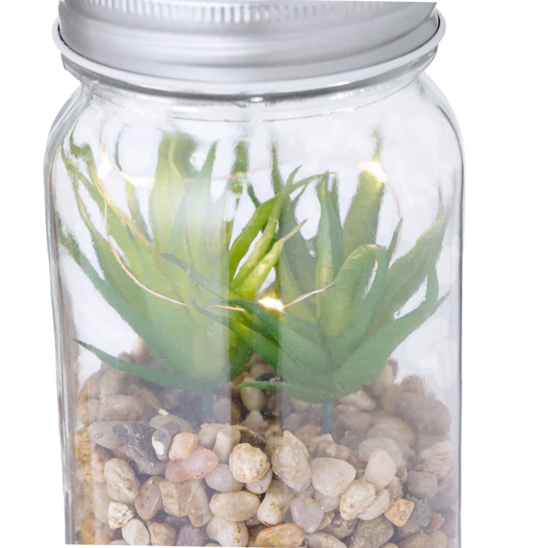 Planta Decorativa Kyala 5