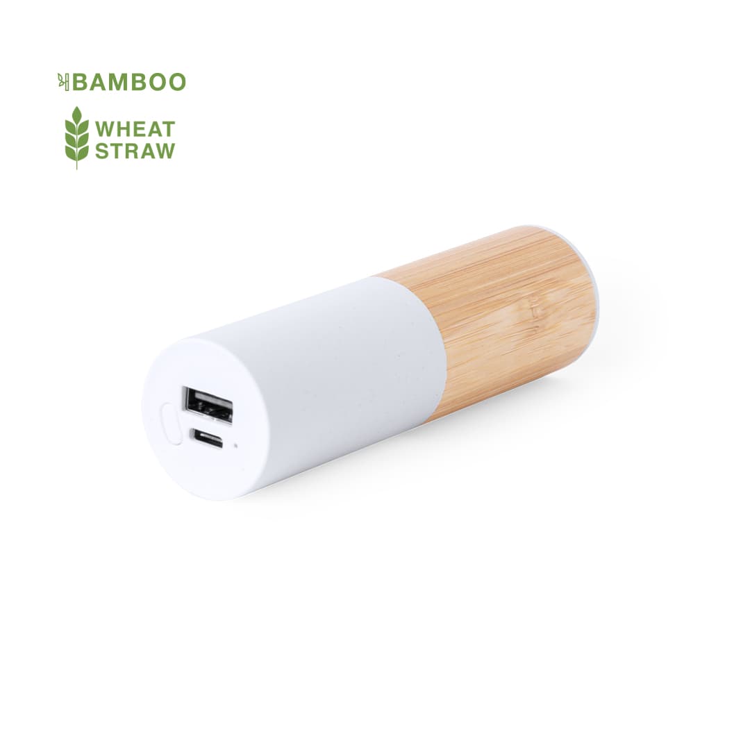 Power Bank Reneh 2
