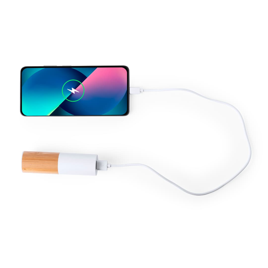 Power Bank Reneh 4