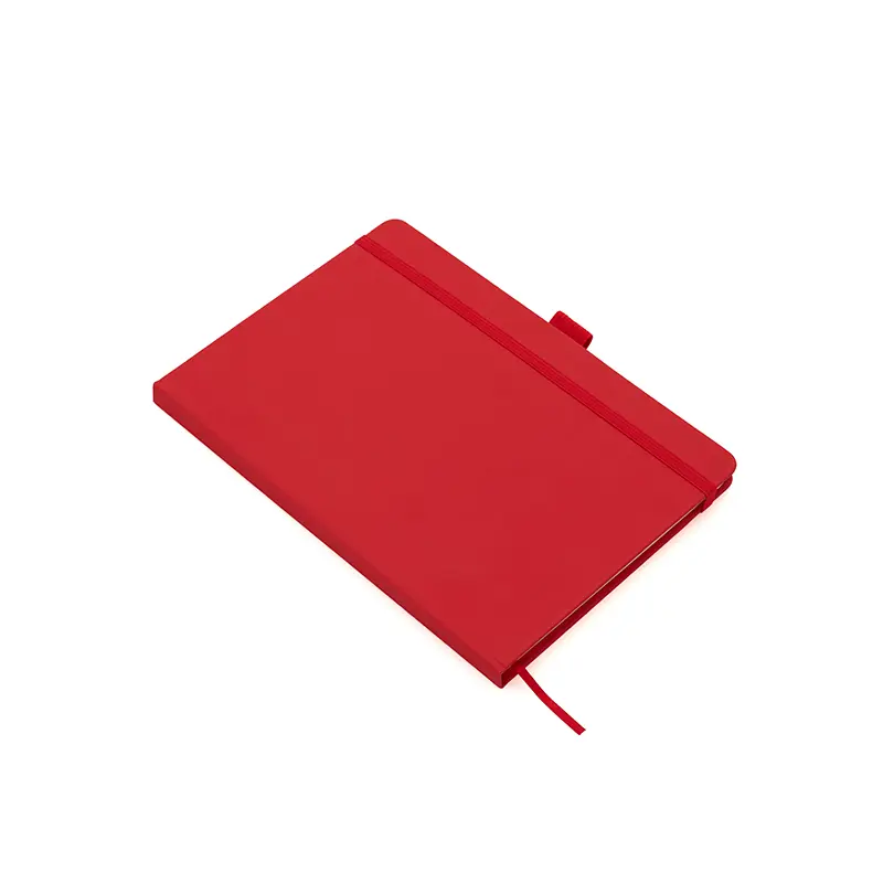 Cuaderno Stanford 3