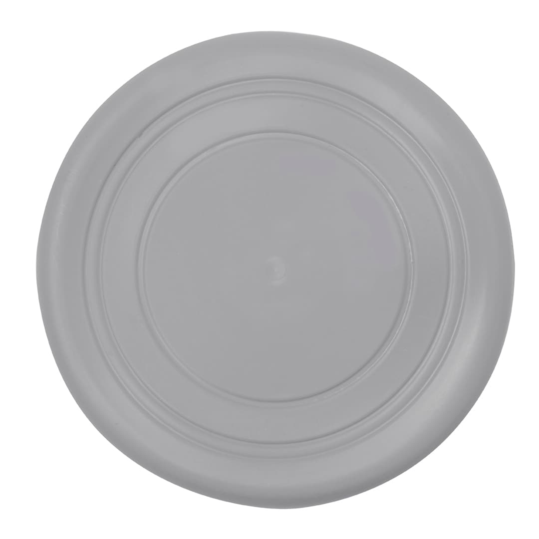 Frisbee Girud 2