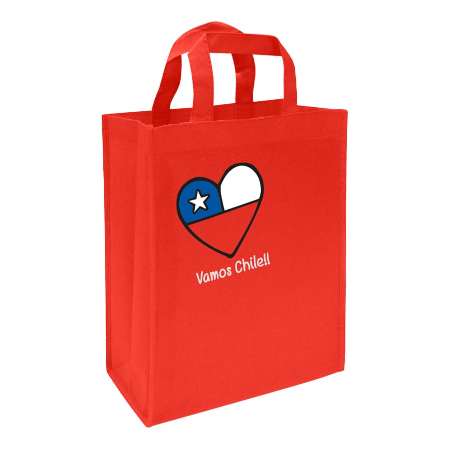 Bolsa TNT Vamos Chile 4