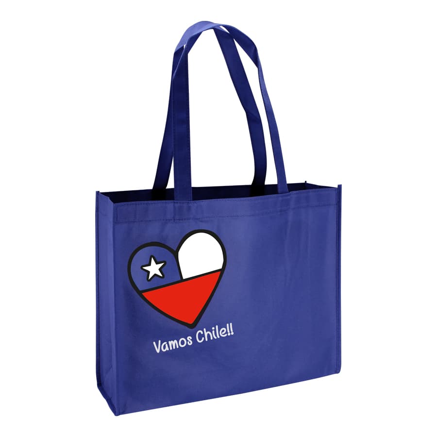 Bolsa TNT Vamos Chile 3