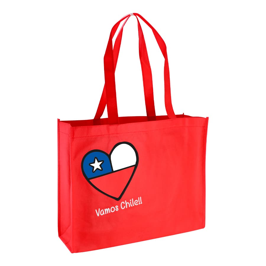 Bolsa TNT Vamos Chile 4