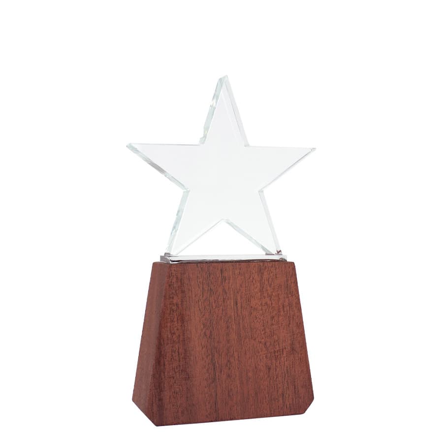 Trofeo «Lonely Star»